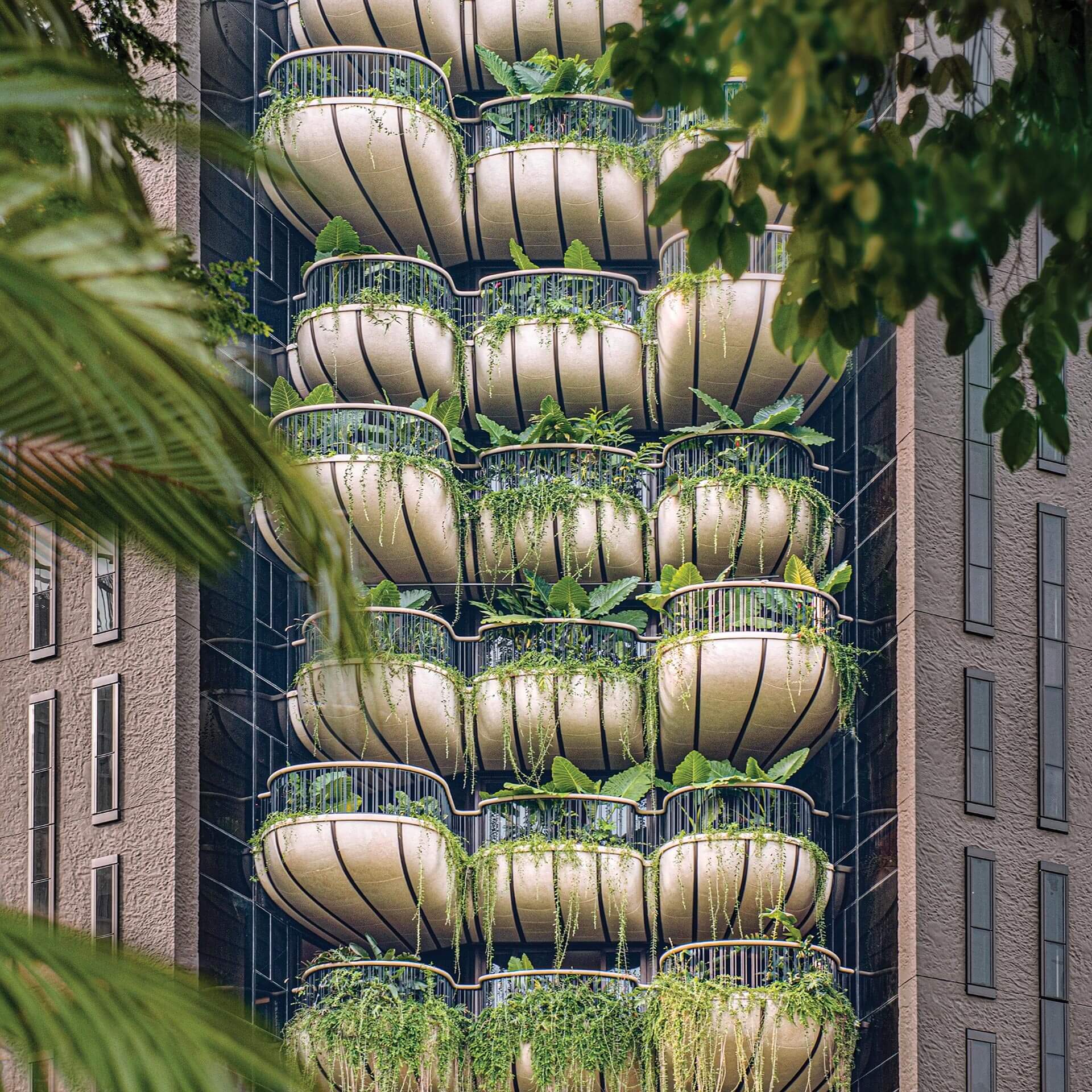 A home in a garden